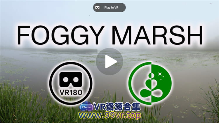 180°全景VR视频：FOGGYMARSH放松VR180自然体验 0609-08